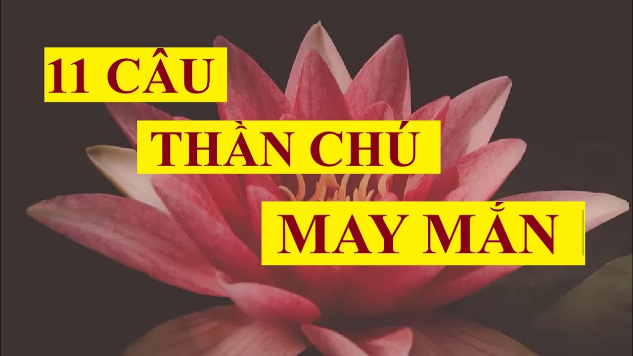 Cách cầu may mắn cho bản thân - Bí quyết thu hút vận may và thay đổi cuộc sống