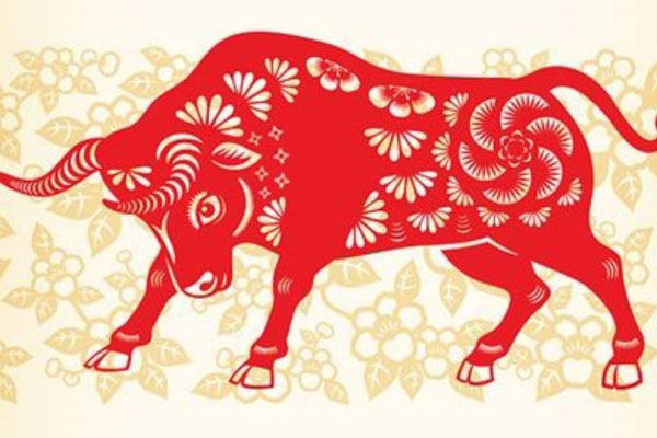 Tuổi Sửu Hôm Nay Có Tài Lộc Không - Bí Quyết Khai Thác Vận May Tối Ưu